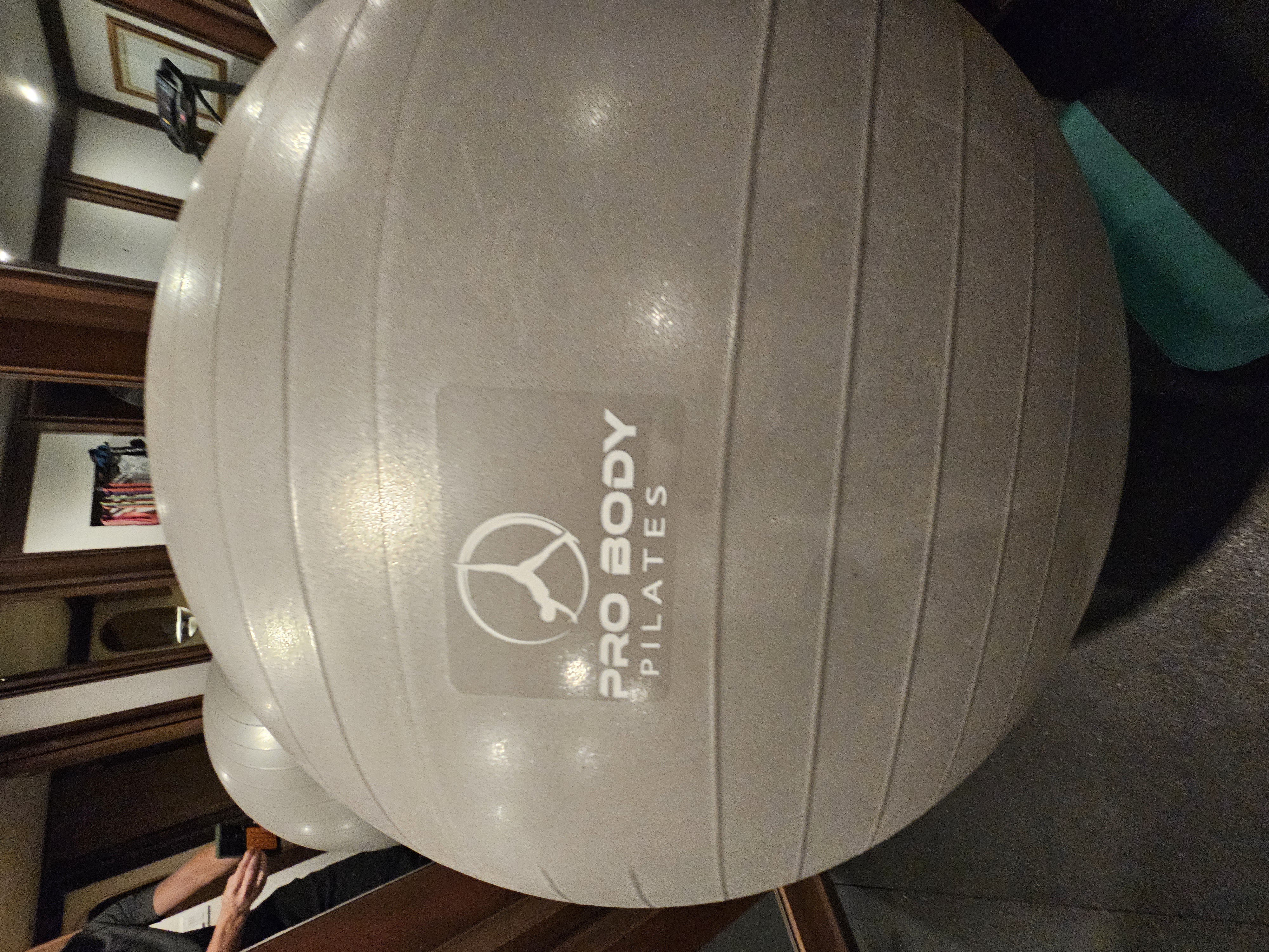 Exercise Ball